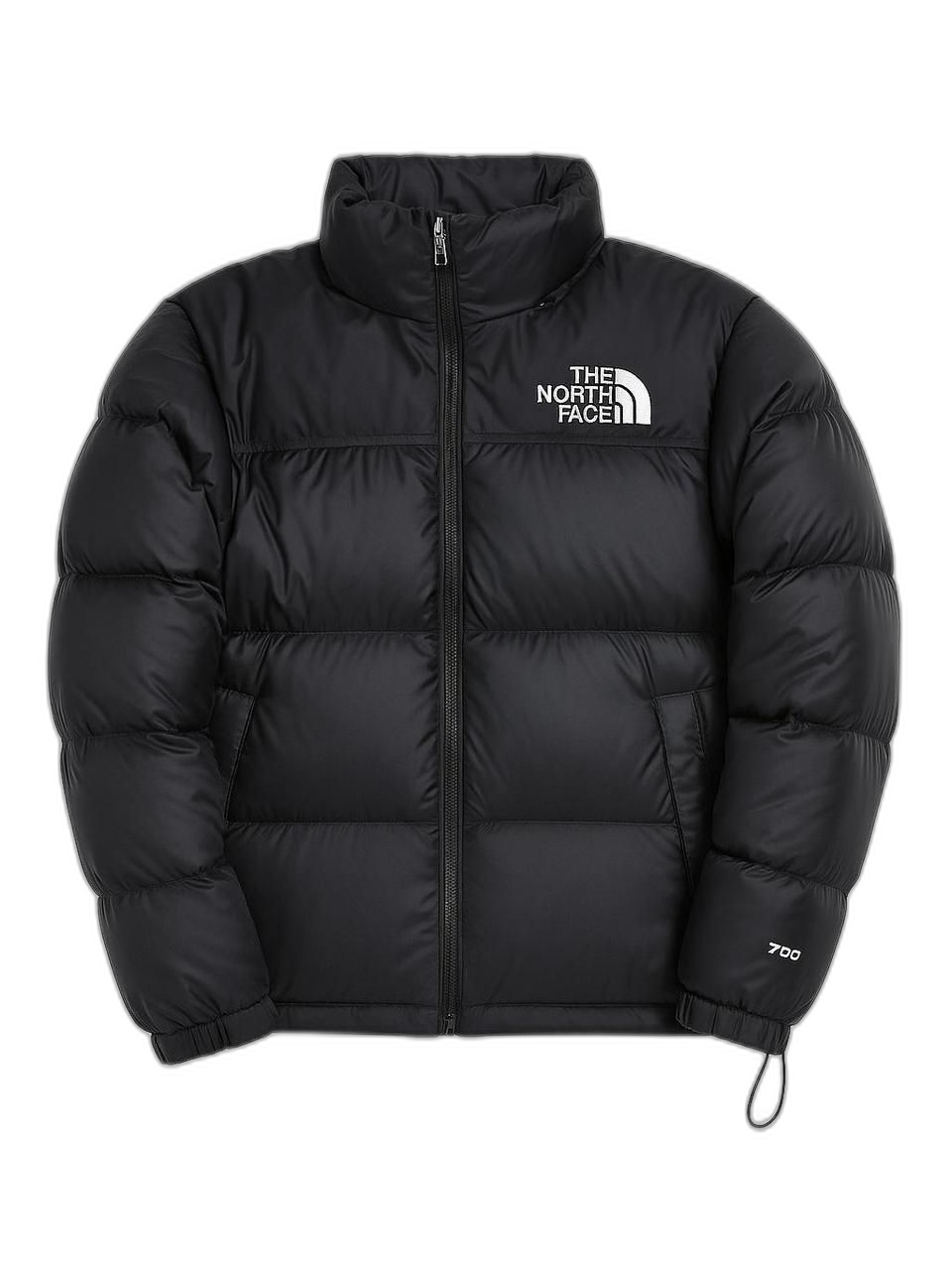 The North 1996 Retro Nuptse 700 Down Jacket Black